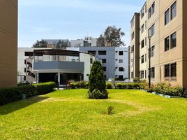 3 Habitación Departamento en alquiler en Perú, Santiago de Surco, Lima, Lima, Perú