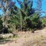  Land for sale in Chile, Casa Blanca, Valparaiso, Valparaiso, Chile