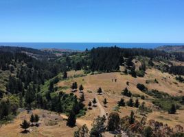  Land for sale in Chile, Navidad, Cardenal Caro, Libertador General Bernardo Ohiggins, Chile