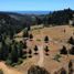  Land for sale in Chile, Navidad, Cardenal Caro, Libertador General Bernardo Ohiggins, Chile