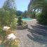  Land for sale in Chile, Casa Blanca, Valparaiso, Valparaiso, Chile