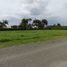  Land for sale in Jamundi, Valle Del Cauca, Jamundi