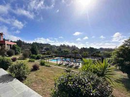  Land for sale in Chile, Casa Blanca, Valparaiso, Valparaiso, Chile