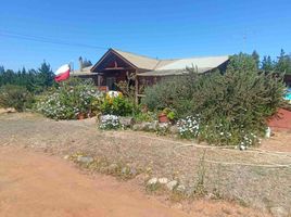  Land for sale in Chile, Casa Blanca, Valparaiso, Valparaiso, Chile