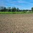  Terreno (Parcela) en venta en Maule, Villa Alegre, Linares, Maule