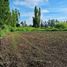  Terreno (Parcela) en venta en Maule, Villa Alegre, Linares, Maule