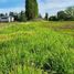  Terreno (Parcela) en venta en Maule, Villa Alegre, Linares, Maule