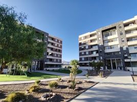 2 Bedroom Apartment for rent in Chile, Calama, El Loa, Antofagasta, Chile