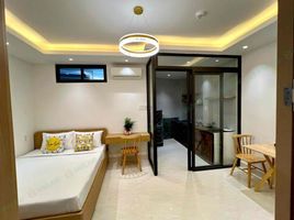 1 Bedroom Apartment for rent in The St. Nicholas School in Danang, Vietnam, Khue Trung, Khue Trung