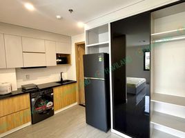 1 Bedroom Apartment for rent in My An, Da Nang, My An, Ngu Hanh Son