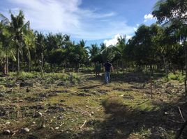  Land for sale in Cordova, Cebu, Cordova