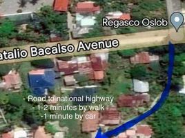  Land for sale in Oslob, Cebu, Oslob