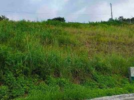  Land for sale in Consolacion, Cebu, Consolacion