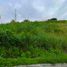  Land for sale in Consolacion, Cebu, Consolacion