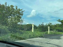 Terrain à vendre à Dzidzantun, Yucatan, Dzidzantun