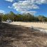 Terrain à vendre à Dzidzantun, Yucatan, Dzidzantun
