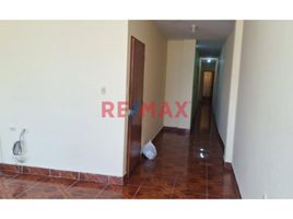 3 Habitación Apartamento en alquiler en Sullana, Piura, Sullana, Sullana