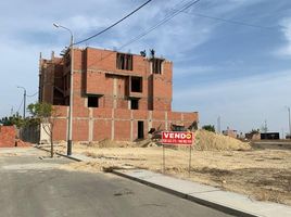  Terrain for sale in Piura, Castilla, Piura, Piura