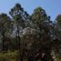  Terrain for sale in Atemajac De Brizuela, Jalisco, Atemajac De Brizuela
