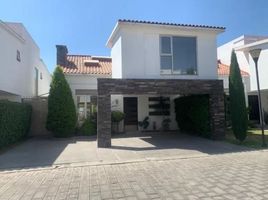 Appartement 4 chambre à vendre à Toluca, Mexico, Toluca, Mexico