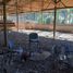  Land for sale in Chile, Mostazal, Cachapoal, Libertador General Bernardo Ohiggins, Chile