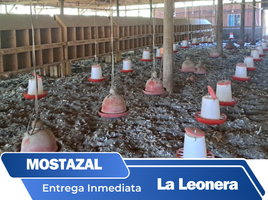  Land for sale in Chile, Mostazal, Cachapoal, Libertador General Bernardo Ohiggins, Chile