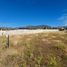  Land for sale in Chile, Machali, Cachapoal, Libertador General Bernardo Ohiggins, Chile