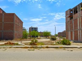  Terrain for sale in Piura, Piura, Piura, Piura