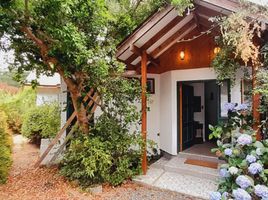 4 Habitación Casa en venta en Casa Blanca, Valparaíso, Casa Blanca
