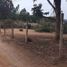  Land for sale in Valparaiso, El Quisco, San Antonio, Valparaiso