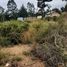  Land for sale in Valparaiso, El Quisco, San Antonio, Valparaiso