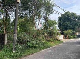  Land for sale in Paranaque City, Southern District, Paranaque City