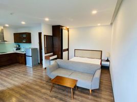 1 Phòng ngủ Chung cư for rent in Khuê Mỹ, Ngũ Hành Sơn, Khuê Mỹ