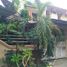 7 Habitación Villa en venta en Jambangan, East Jawa, Jambangan