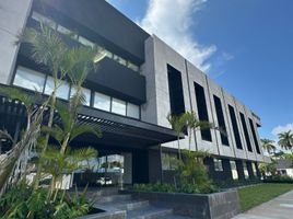 36 m² Office for rent in Merida, Yucatan, Merida