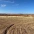  Land for sale in Miguel Auza, Zacatecas, Miguel Auza