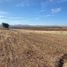  Land for sale in Miguel Auza, Zacatecas, Miguel Auza