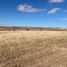 Land for sale in Miguel Auza, Zacatecas, Miguel Auza