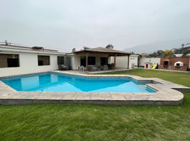 在Lima出租的5 卧室 屋, La Molina, Lima, Lima