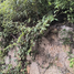  Terreno (Parcela) en venta en Acapulco, Guerrero, Acapulco, Guerrero