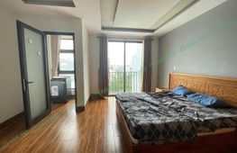 1-bedroom apartment for rent, 45 m², Ngũ Hành Sơn