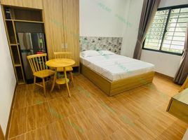 1 Bedroom Apartment for rent in My An, Da Nang, My An