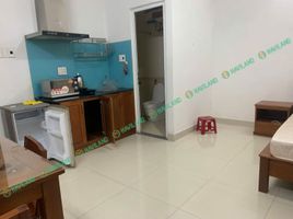 1 Bedroom Apartment for rent in My An, Da Nang, My An