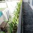 1 Phòng ngủ Chung cư for rent in Mỹ An, Đà Nẵng, Mỹ An, Ngũ Hành Sơn
