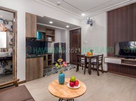 1 Phòng ngủ Căn hộ for rent in My Khe Beach, Mỹ An, Khuê Mỹ