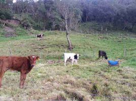  Villa en venta en Cuenca, Azuay, Baños, Cuenca