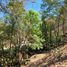  Land for sale in Charo, Michoacan, Charo