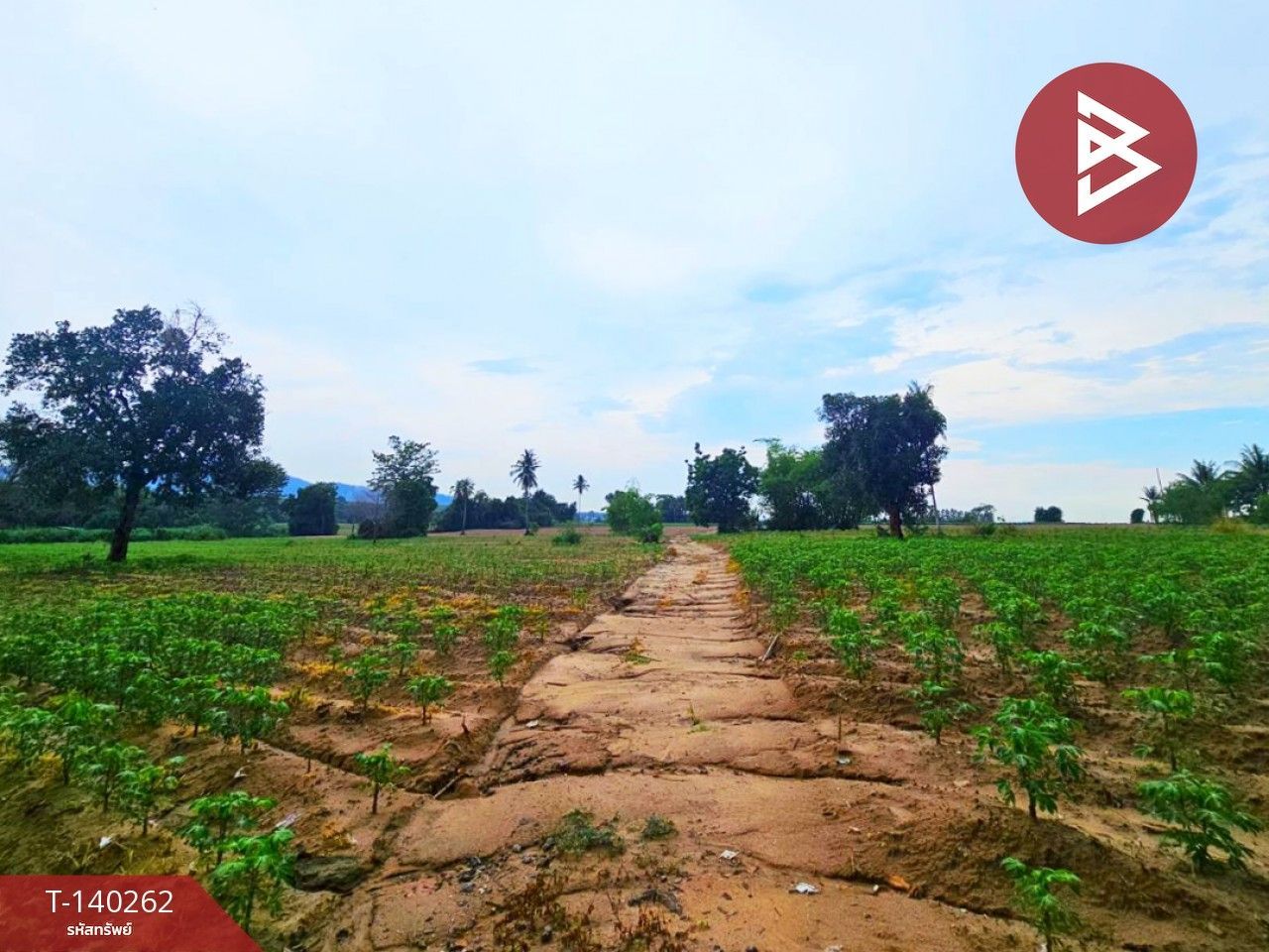 Land for sale In Nong Kham Pattaya