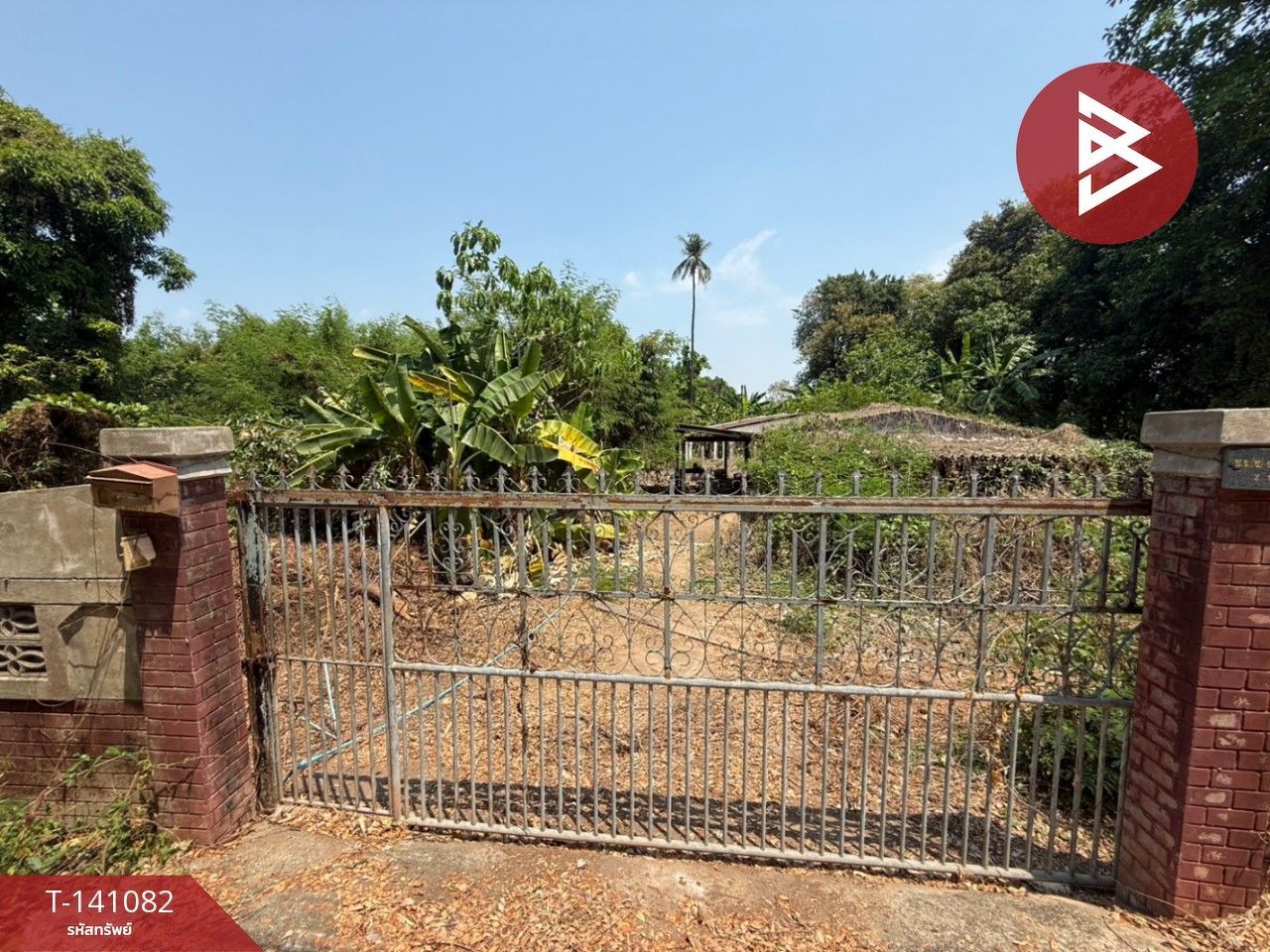 Land for sale In Wang Thong Phitsanulok