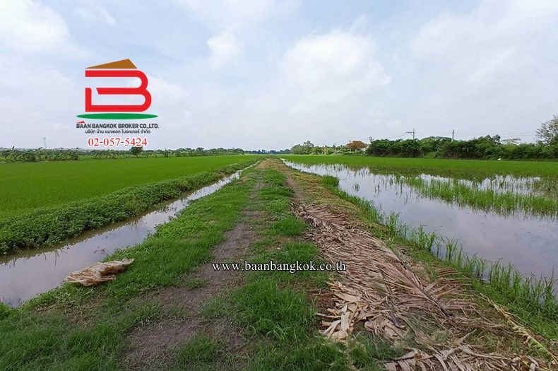 Land for sale In Sam Wa Tawan Ok Bangkok